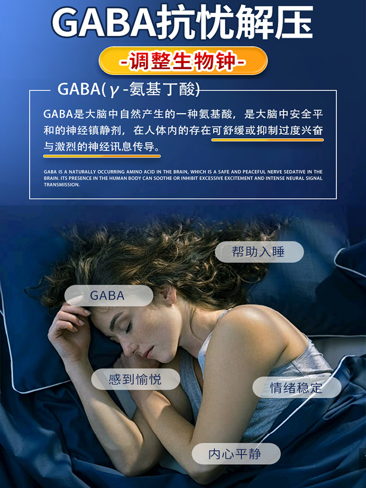 GABA神经调节机制